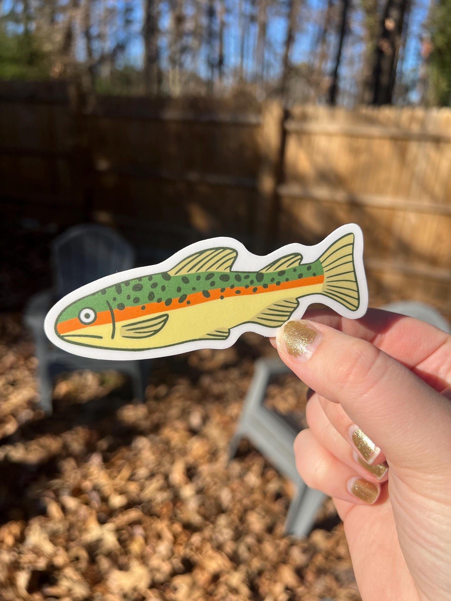 Tiger Trout Vinyl Sticker | Fishing Waterproof Decal | For Outdoors Laptop & Water Bottle | Wildlife Sticker
