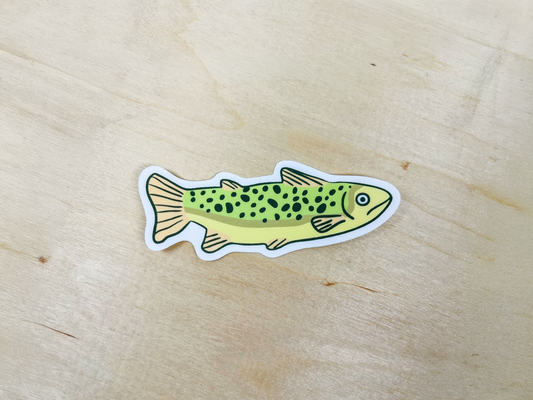 Brown Trout Vinyl Sticker | Fishing Waterproof Decal | For Outdoors Laptop & Water Bottle | Wildlife Sticker