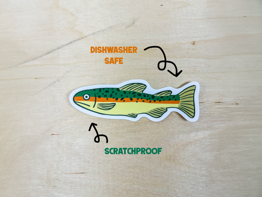 Tiger Trout Vinyl Sticker | Fishing Waterproof Decal | For Outdoors Laptop & Water Bottle | Wildlife Sticker