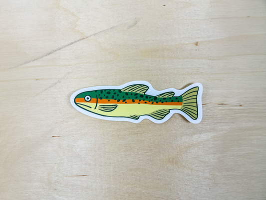 Tiger Trout Vinyl Sticker | Fishing Waterproof Decal | For Outdoors Laptop & Water Bottle | Wildlife Sticker