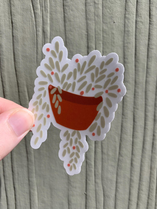 String of Pearls Succulent Sticker | Clear Vinyl Plant Decal