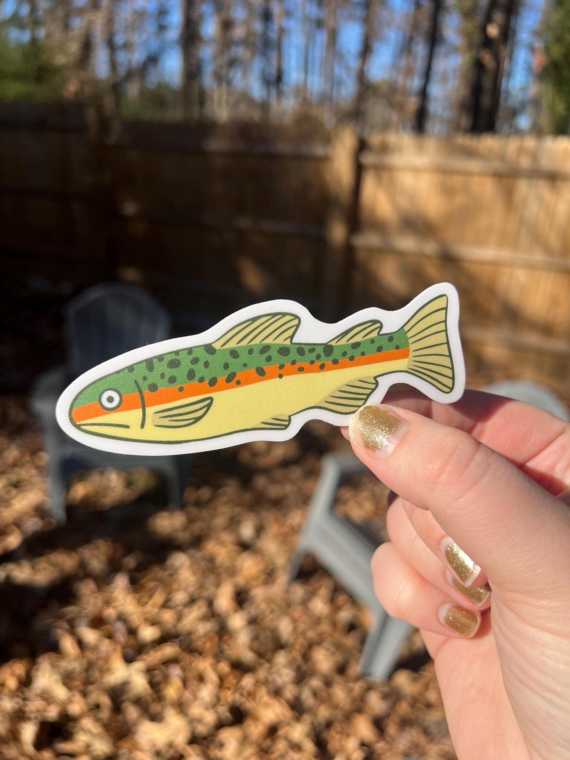 Tiger Trout Vinyl Sticker | Fishing Waterproof Decal | For Outdoors Laptop & Water Bottle | Wildlife Sticker