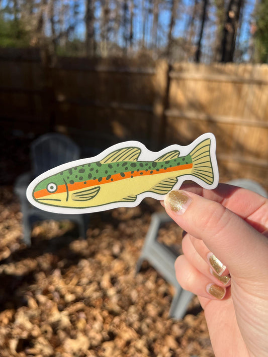 Tiger Trout Vinyl Sticker | Fishing Waterproof Decal | For Outdoors Laptop & Water Bottle | Wildlife Sticker