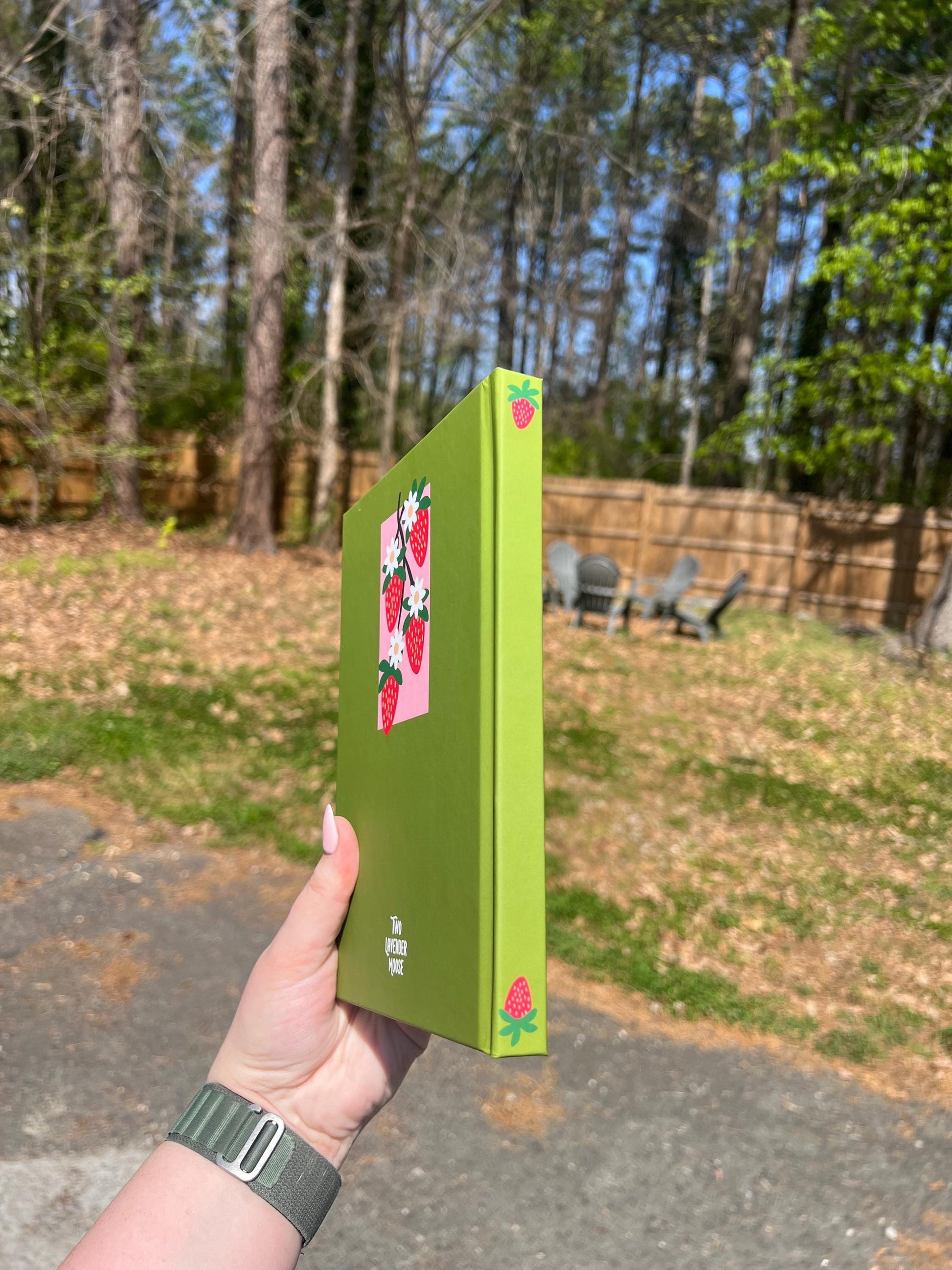 Strawberry Bullet Journal